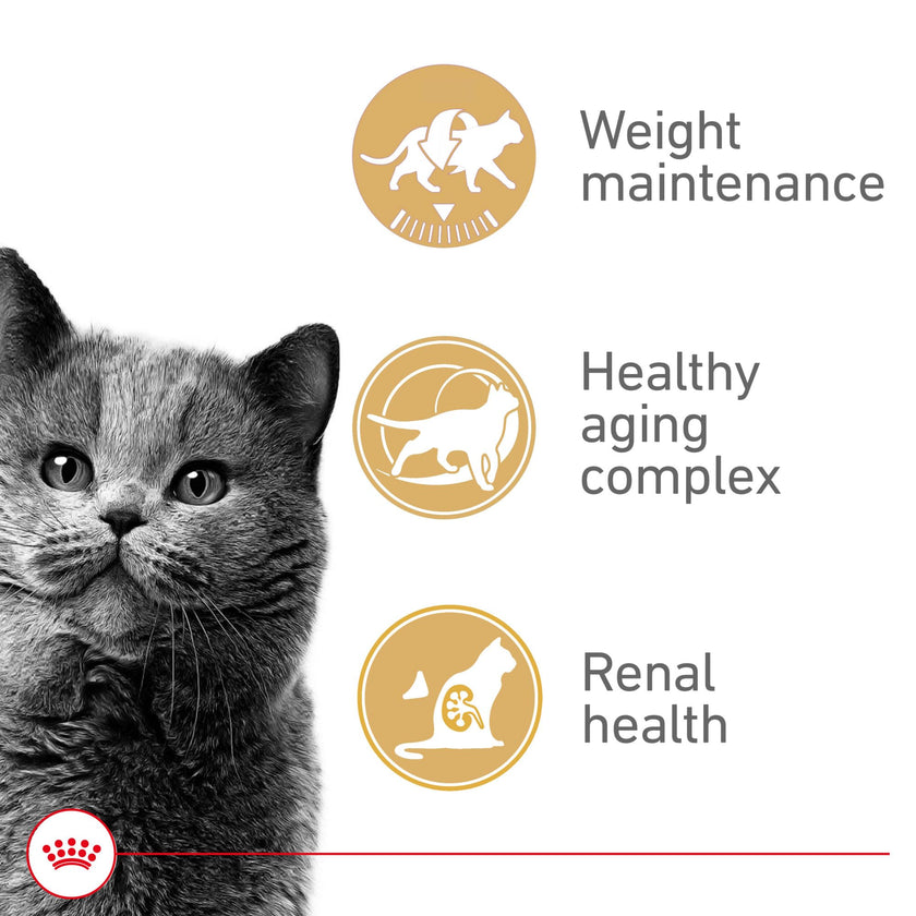 Royal Canin Appetite Control Spayed/Neutered 12+ Dry Adult Cat Food, 7 lb Bag 🍁 All In One Marketplace Canada