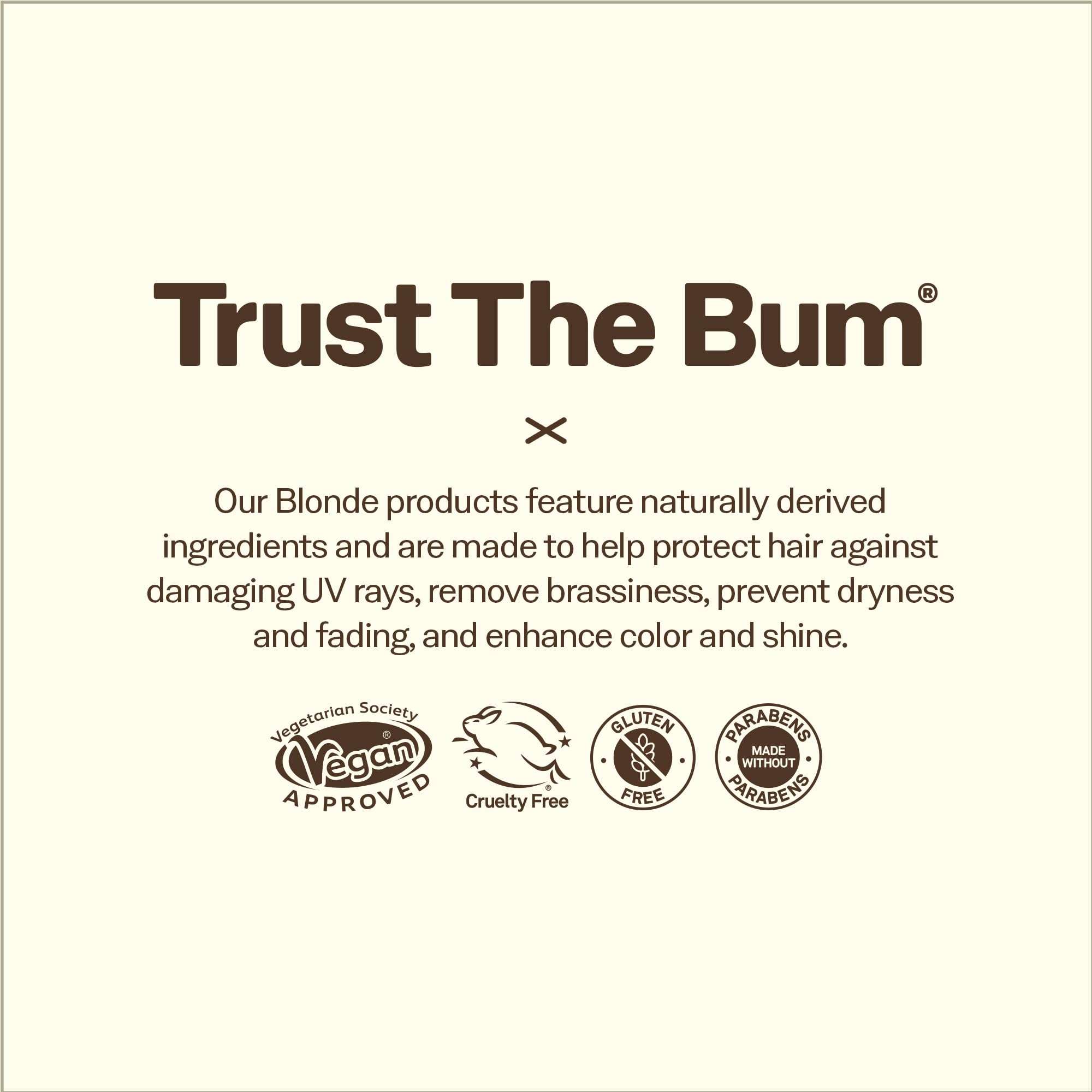 Sun Bum Blonde Formula Hair Lightener, Hair Highlighting Spray, Paraben Free, Gluten Free, 118 mL Spray Bottle, 1 Count 🍁 All In One Marketplace Canada