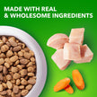 IAMS Proactive Health Minichunks Dry Dog Food – Crunchy Kibble for Adult Dogs – Chicken & Whole Grain Recipe – 13.61KG (30LB) Bag 🍁 All In One Marketplace Canada