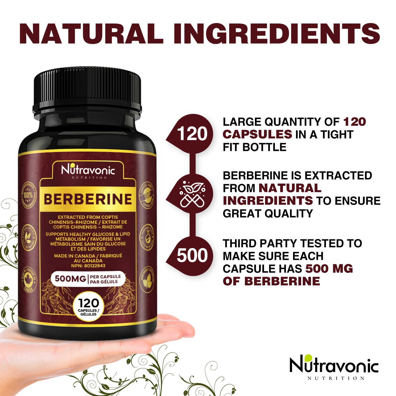 Nutravonic Berberine Supplements 1000mg Per Serving, 500mg Per Capsule | Made in Canada I Supports Healthy Glucose & Lipid Metabolism | Non-GMO, Vegan, Gluten-free, 120 Easy-to-Swallow Capsules 🍁 All In One Marketplace Canada