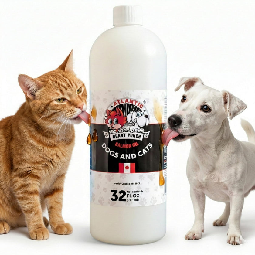 Bunny Punch Pure Atlantic Salmon Oil for Dogs & Cats - Liquid Food Topper - 32 oz 🍁 All In One Marketplace Canada