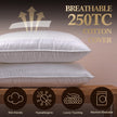 SHERWOOD Pillows King Size 2 Pack Hotel Pillow with Cotton Cover and Down Alternative Fiber Fill Bed Pillow for Sleeping (White, King 20x36 inch) 🍁 All In One Marketplace Canada