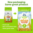 sWheat Scoop Natural Wheat Multi-Cat Litter, Superior Clumping with Odor Neutralizing Enzymes, 25 Pound Bag 🍁 All In One Marketplace Canada