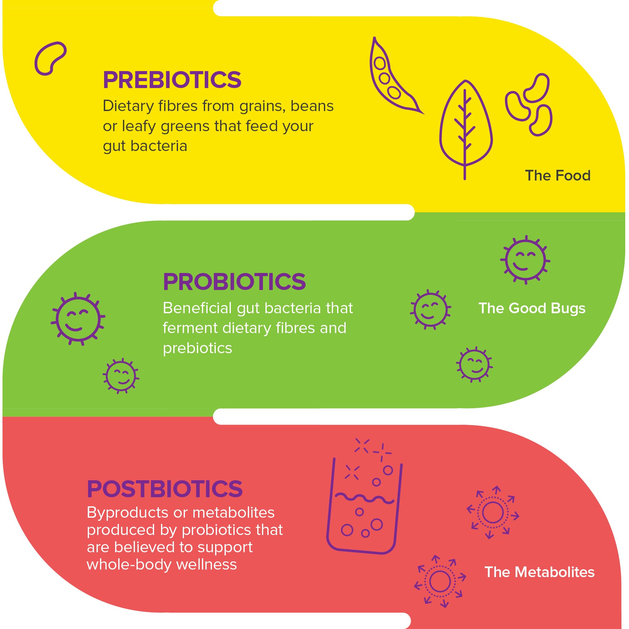 Webber Naturals Probiotic with Prebiotic, 10 Billion Active Cells, 15 Probiotic Strains, 90 Capsules, For Digestive Health, Vegan 🍁 All In One Marketplace Canada