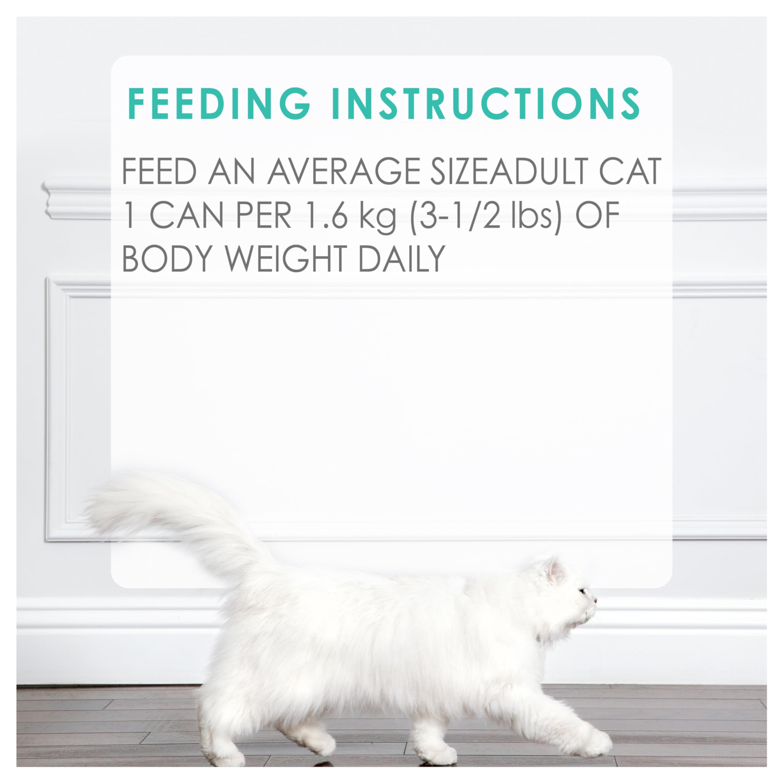 Fancy Feast Wet Cat Food, Pate Beef Flavour - 85 g Can (24 Pack) 🍁 All In One Marketplace Canada