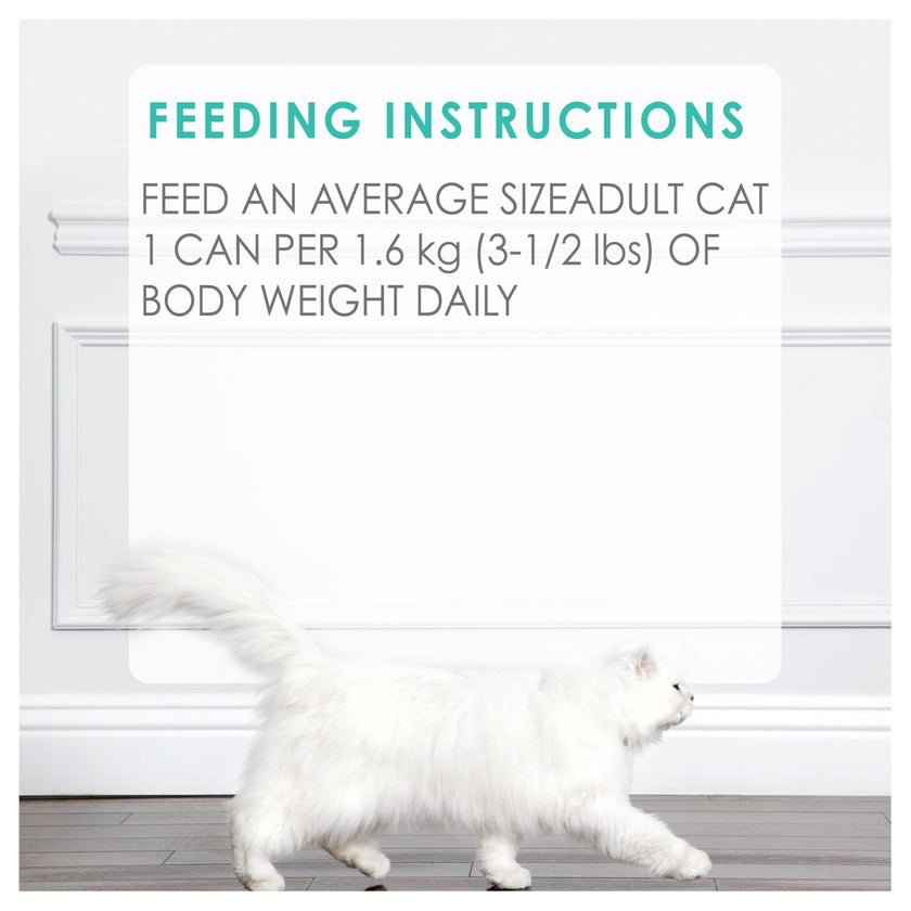 Fancy Feast Wet Cat Food, Pate Beef Flavour - 85 g Can (24 Pack) 🍁 All In One Marketplace Canada