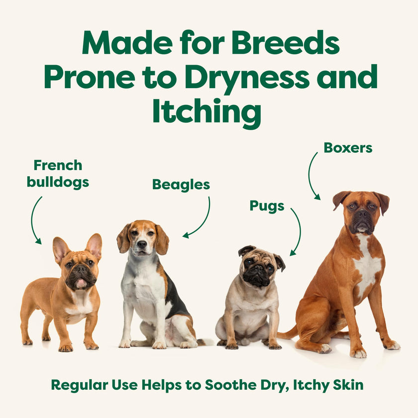 Earth Rated (A Canadian Company), 3-in-1 Soothing Dog Shampoo and Conditioner, Deodorizing Oatmeal Shampoos for Dogs and Puppies, Great for Smelly Pets, White Tea and Basil Scent, 473 ml 🍁 All In One Marketplace Canada