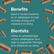 Webber Naturals Ashwagandha 6000 mg, 120 Capsules, Adaptogen to Help Reduce Stress & Increase Energy, Vegan 🍁 All In One Marketplace Canada