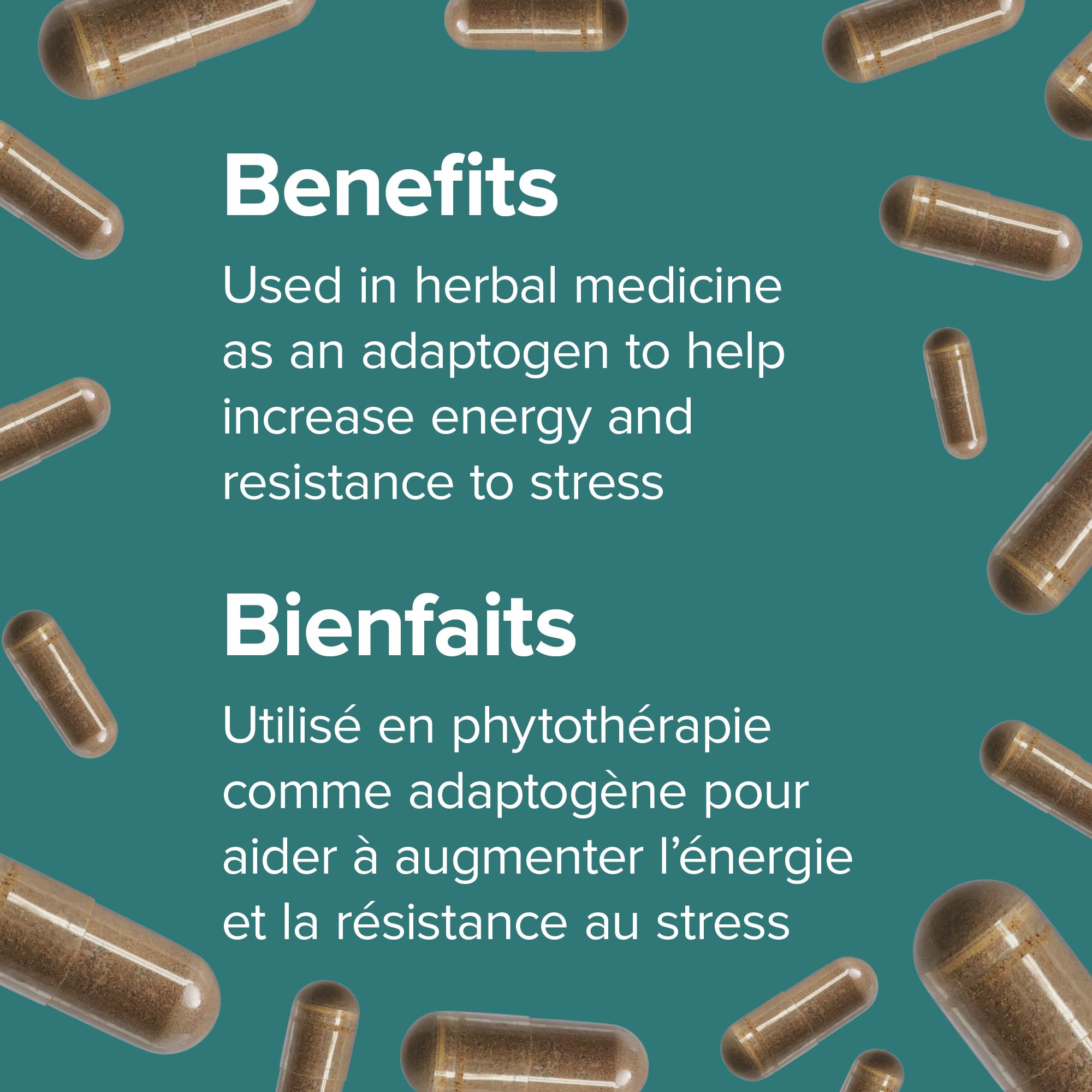 Webber Naturals Ashwagandha 6000 mg, 120 Capsules, Adaptogen to Help Reduce Stress & Increase Energy, Vegan 🍁 All In One Marketplace Canada