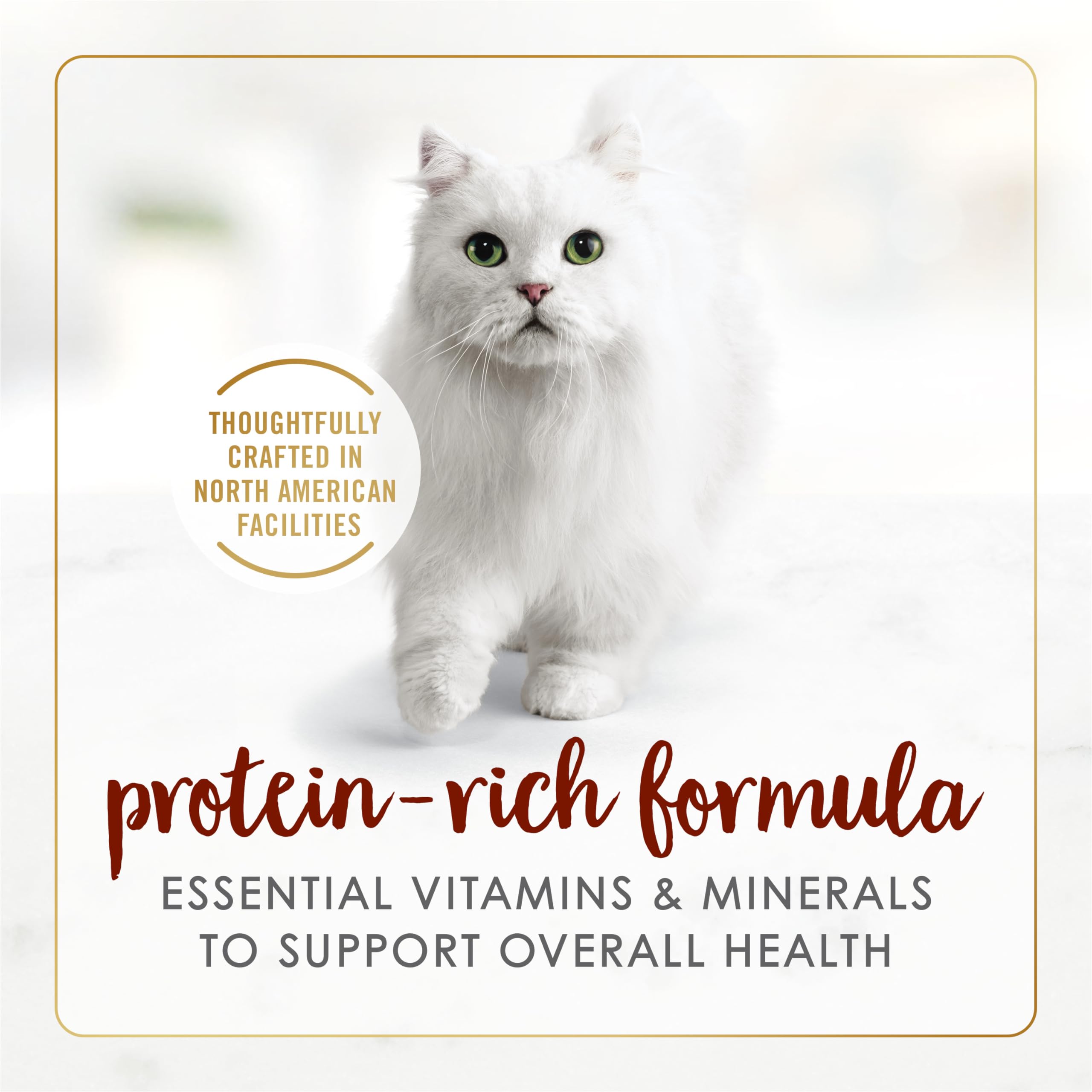 Fancy Feast Wet Cat Food, Pate Beef Flavour - 85 g Can (24 Pack) 🍁 All In One Marketplace Canada