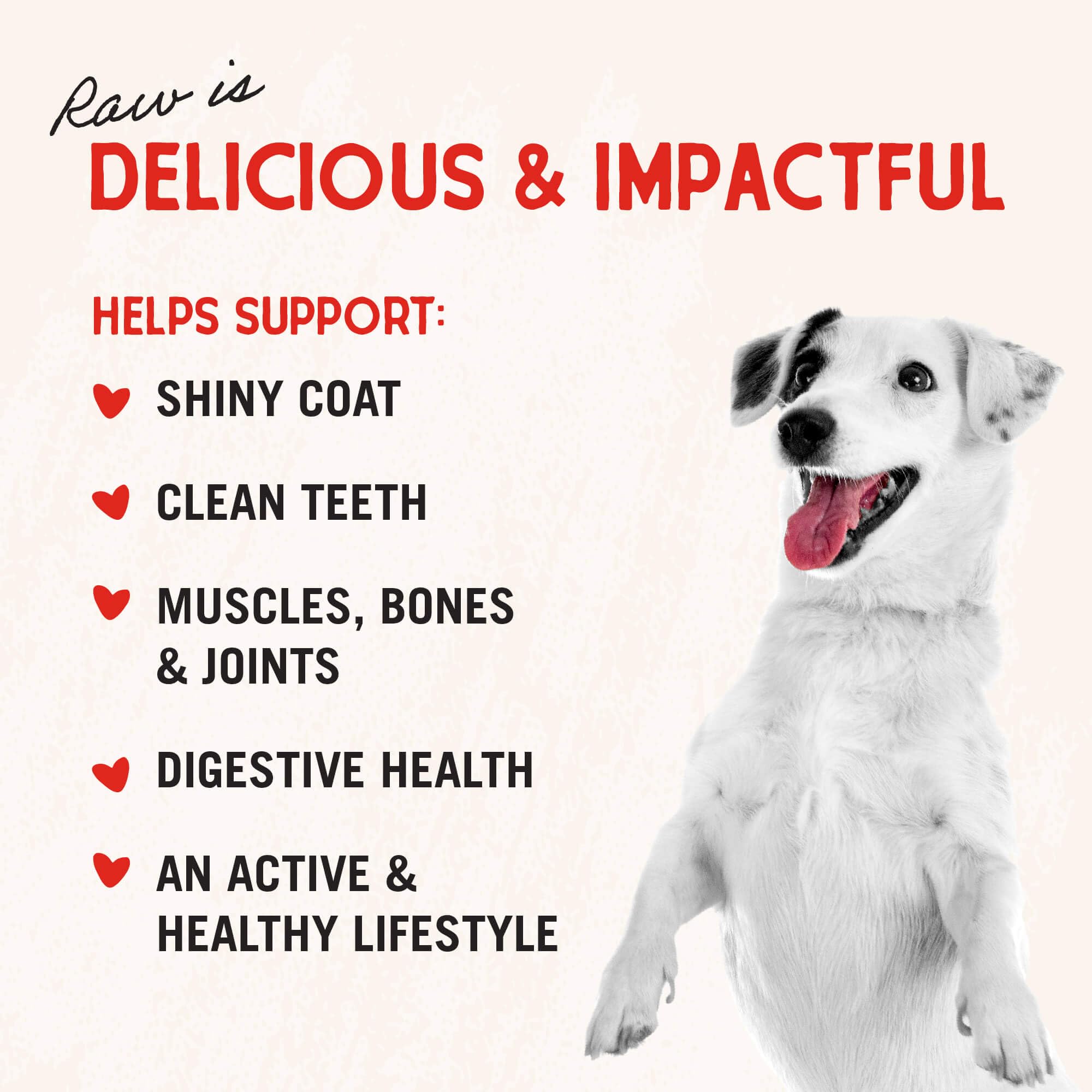 Stella & Chewy's Freeze-Dried Raw Single Ingredient Lamb Heart Treats, 85g Bag 🍁 All In One Marketplace Canada