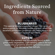 New Nordic Blue Berry Strong 120 Coated Tablets, 60-Day Supply, Vegan Eye Support Supplement with Bilberry & Lutein for Clear Vision & Macular Health 🍁 All In One Marketplace Canada