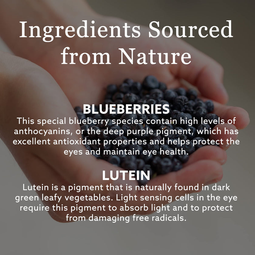 New Nordic Blue Berry Strong 120 Coated Tablets, 60-Day Supply, Vegan Eye Support Supplement with Bilberry & Lutein for Clear Vision & Macular Health 🍁 All In One Marketplace Canada