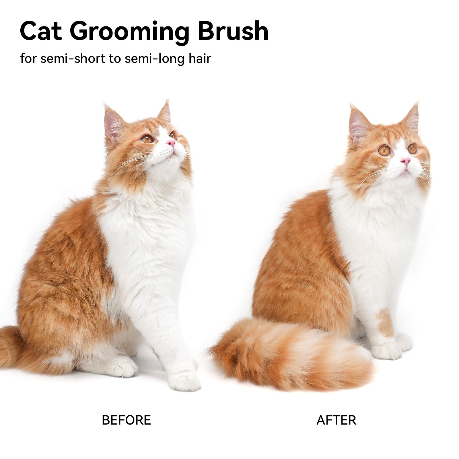aumuca Cat Brush Dog Brush for Shedding, Cat Brushes for Long or Short Haired Cats, Dog Hair Brush Cat Grooming Brush Cat Comb Cat Deshedding Brush Easily Removes Mats, Tangles, and Loose Fur, White 🍁 All In One Marketplace Canada
