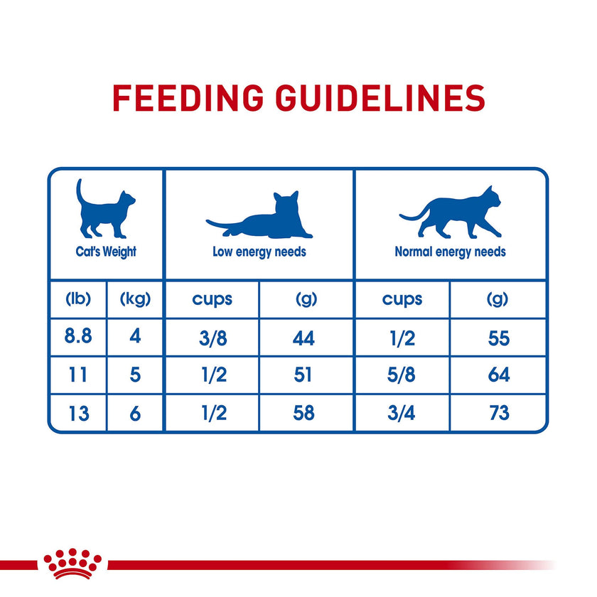 Royal Canin Indoor Long Hair Adult Dry Cat Food, 6 lb bag 🍁 All In One Marketplace Canada