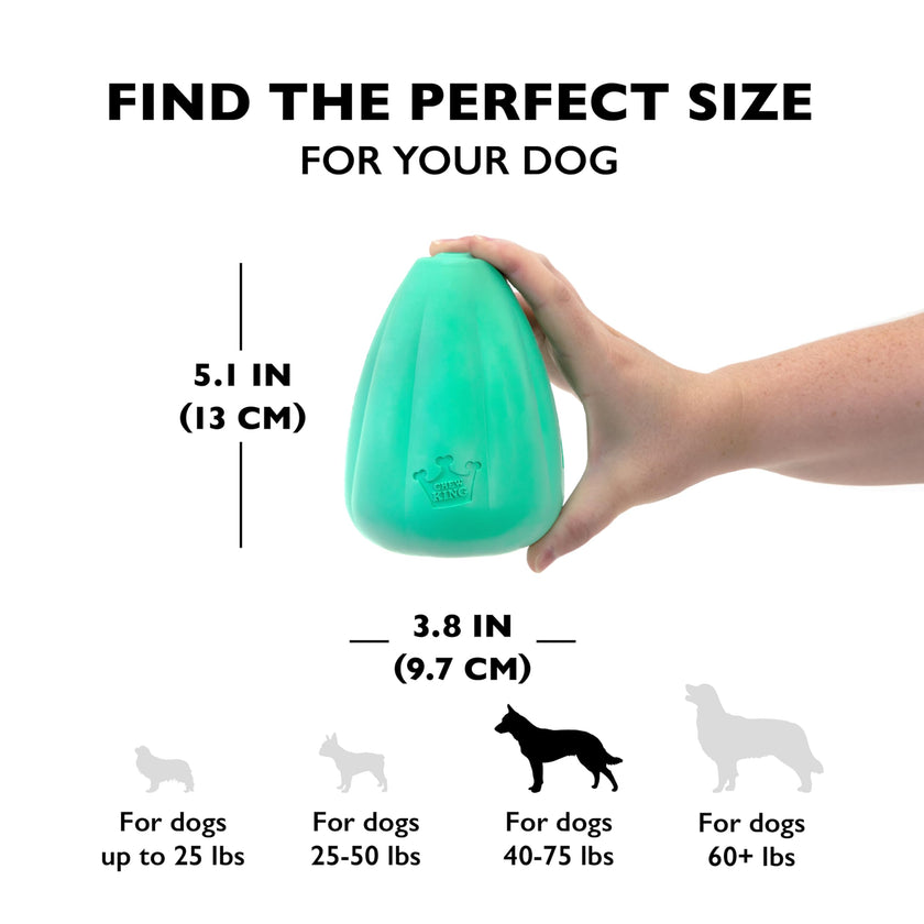 Chew King Premium Treat Dog Toy, XL, Extremely Durable Natural Rubber Toy, Pack of 2, All Breed Sizes 🍁 All In One Marketplace Canada