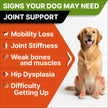 Glucosamine for Dogs w/Chondroitin - Hip & Joint Supplement for Dogs - MSM, Omega to Improve Mobility & Energy - Natural Joint Pain Relief - 120 Chews (Chicken) 🍁 All In One Marketplace Canada