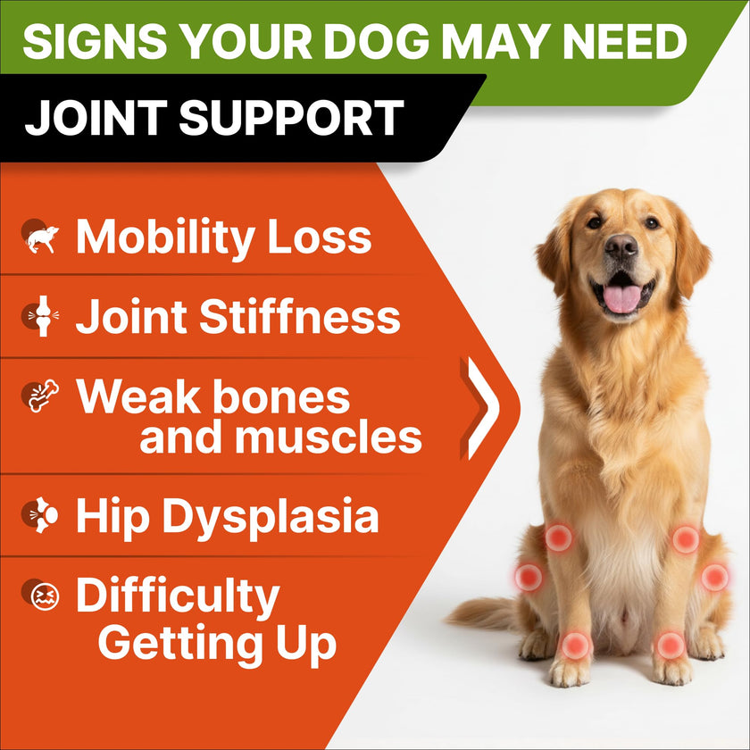 Glucosamine for Dogs w/Chondroitin - Hip & Joint Supplement for Dogs - MSM, Omega to Improve Mobility & Energy - Natural Joint Pain Relief - 120 Chews (Chicken) 🍁 All In One Marketplace Canada