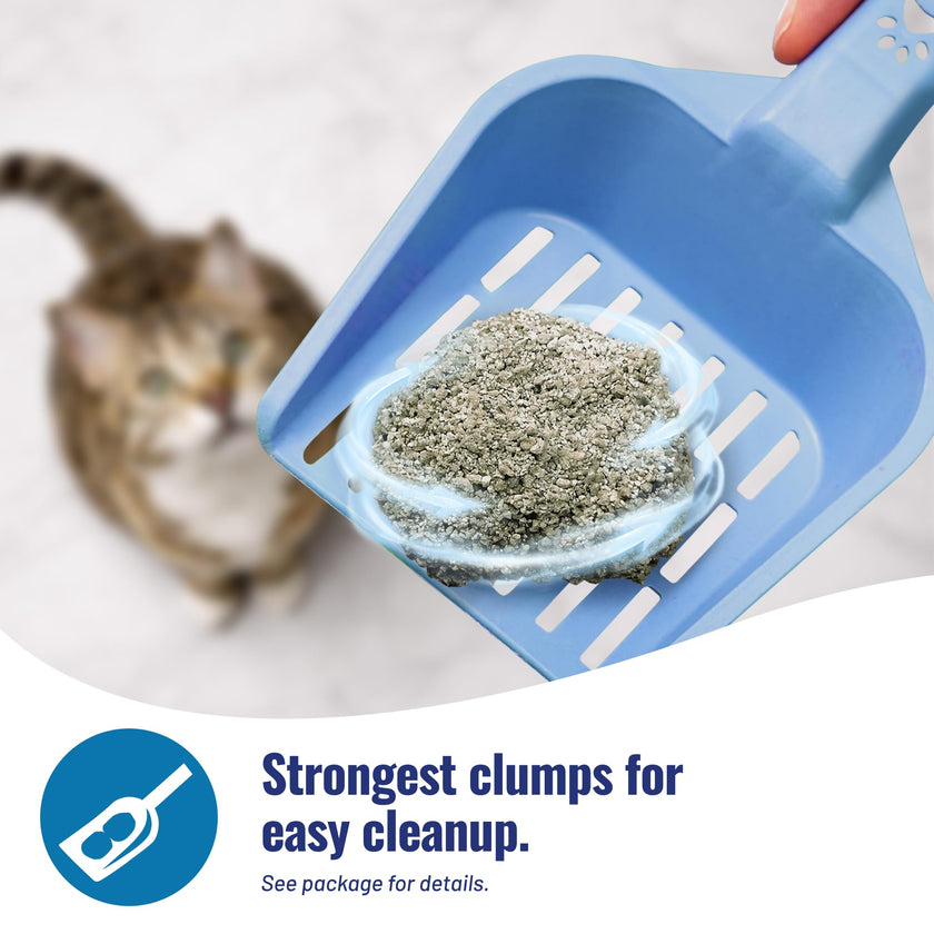 Cat's Pride Fresh and Light Premium Clumping Fragrance Free Scoopable Cat Litter Jug, 15-Pound 🍁 All In One Marketplace Canada
