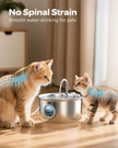 Cat Water Fountain Stainless Steel: Cat Fountain for Drinking - 2.6L Pet Water Fountain Indoor Cats - Quiet Pets Waterer - Cats Water Dispenser - for Small Animals 🍁 All In One Marketplace Canada