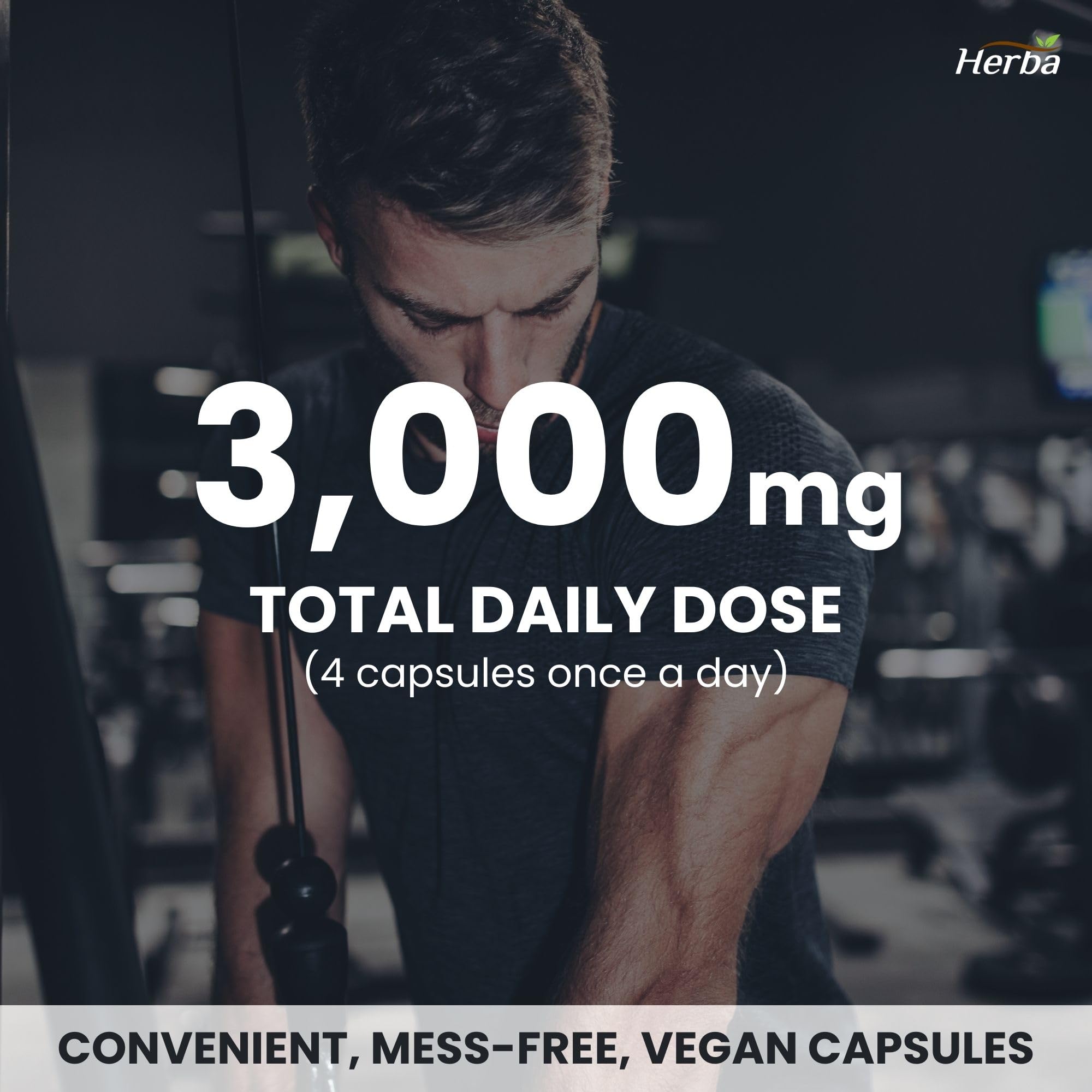 Herba L-Citrulline Capsules 750mg – 180 Capsules | 3,000mg Per Serving | Ultra Pure >98% | L Citrulline Nitric Oxide Supplement | Made & 3rd Party Tested in Canada 🍁 All In One Marketplace Canada