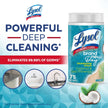 Lysol Disinfecting Wipes, Thick Cleaning Wipes with Micro-Pocket Pattern for Home & Electronics, Kills 99.9% of Germs, Removes Allergens, Coconut & Sea Minerals Scent, 6 X 75 Count (450 Total Wipes) 🍁 All In One Marketplace Canada