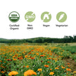 ST FRANCIS HERB FARM Castor Oil (500ml) USDA Certified Organic, Cold Pressed, Hexane-Free, GMO Free, Vegan, Vegetarian, Sealed in Protective Amber Glass (1 Bottle) Hair, Skin, and Nail Care 🍁 All In One Marketplace Canada
