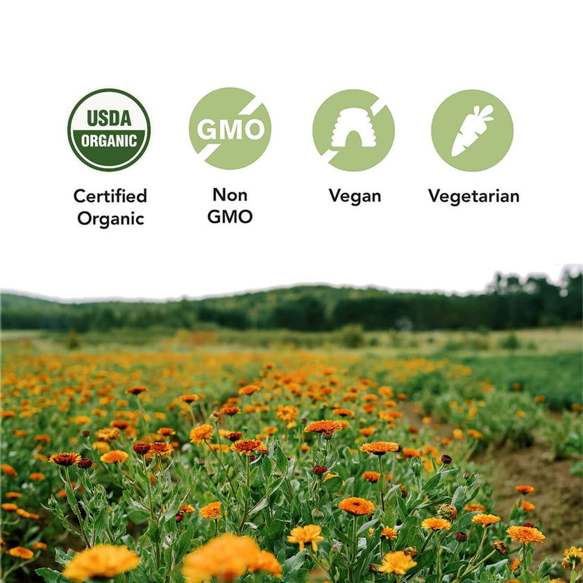 ST FRANCIS HERB FARM Castor Oil (500ml) USDA Certified Organic, Cold Pressed, Hexane-Free, GMO Free, Vegan, Vegetarian, Sealed in Protective Amber Glass (1 Bottle) Hair, Skin, and Nail Care 🍁 All In One Marketplace Canada