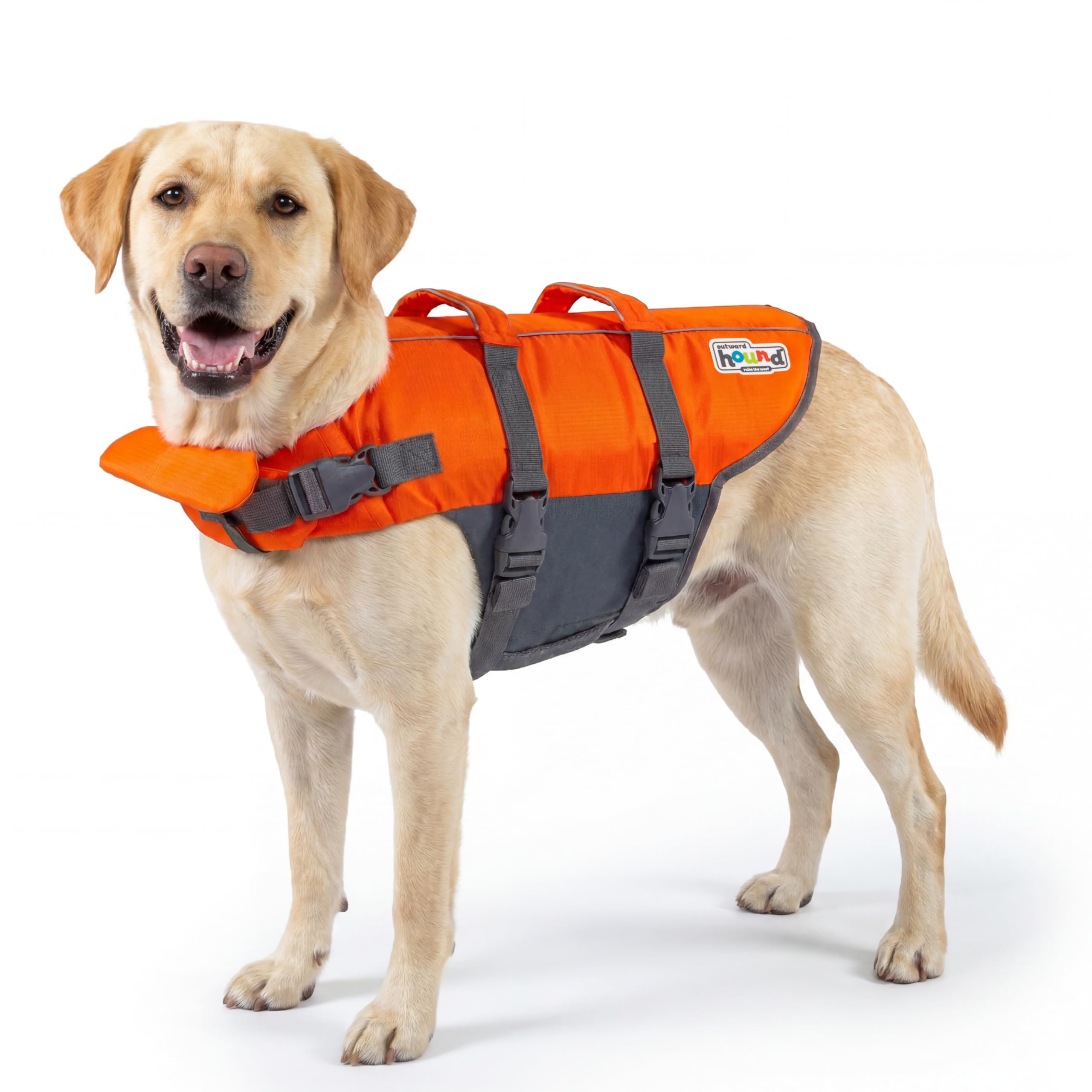 Outward Hound Granby Splash Orange Dog Life Jacket, Large 🍁 All In One Marketplace Canada
