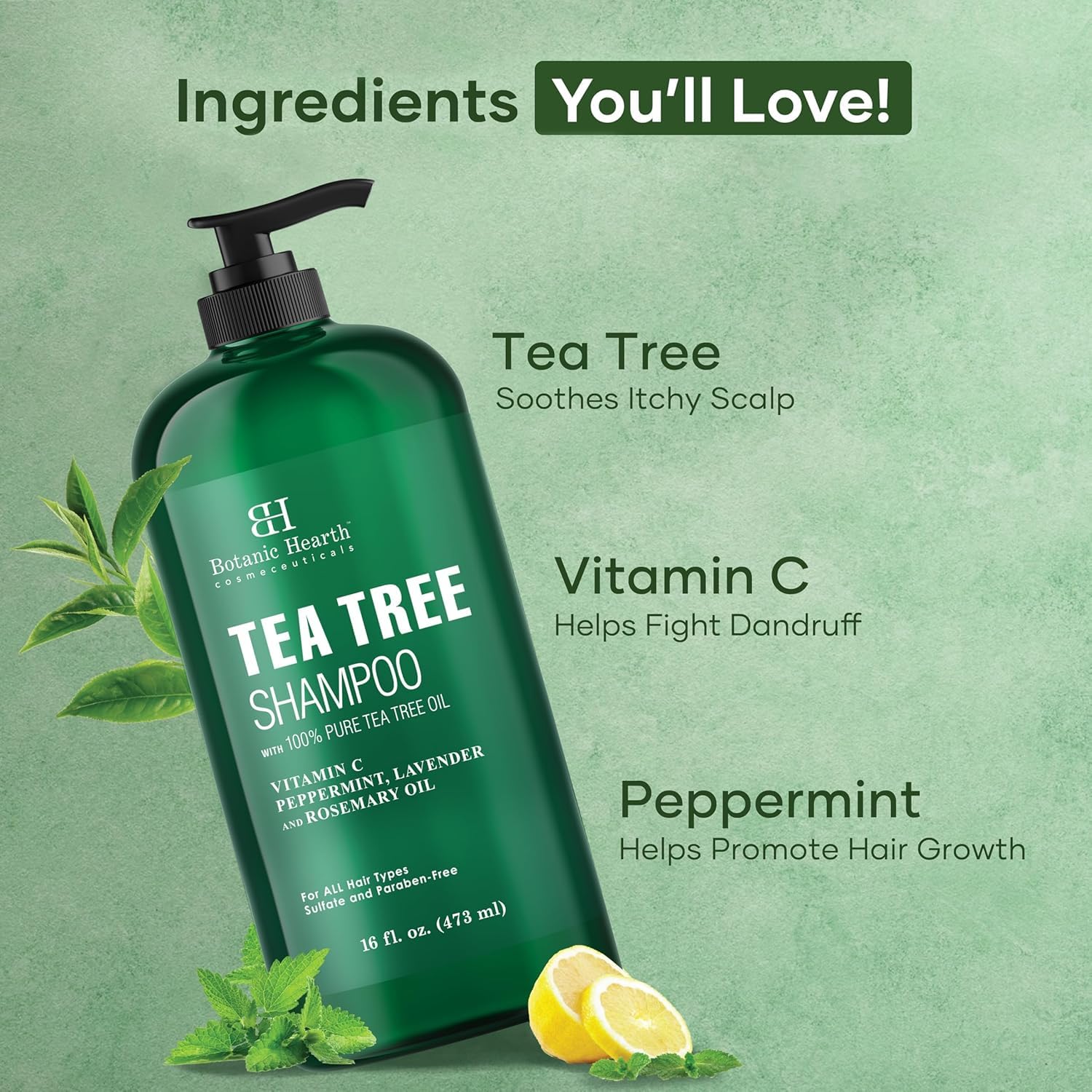 Botanic Hearth Tea Tree Shampoo for Dry & Itchy Scalp, Soothing & Hydrating Cleanser with Natural Tea Tree Oil, Sulfate & Paraben Free, For Men & Women, 16 fl oz 🍁 All In One Marketplace Canada
