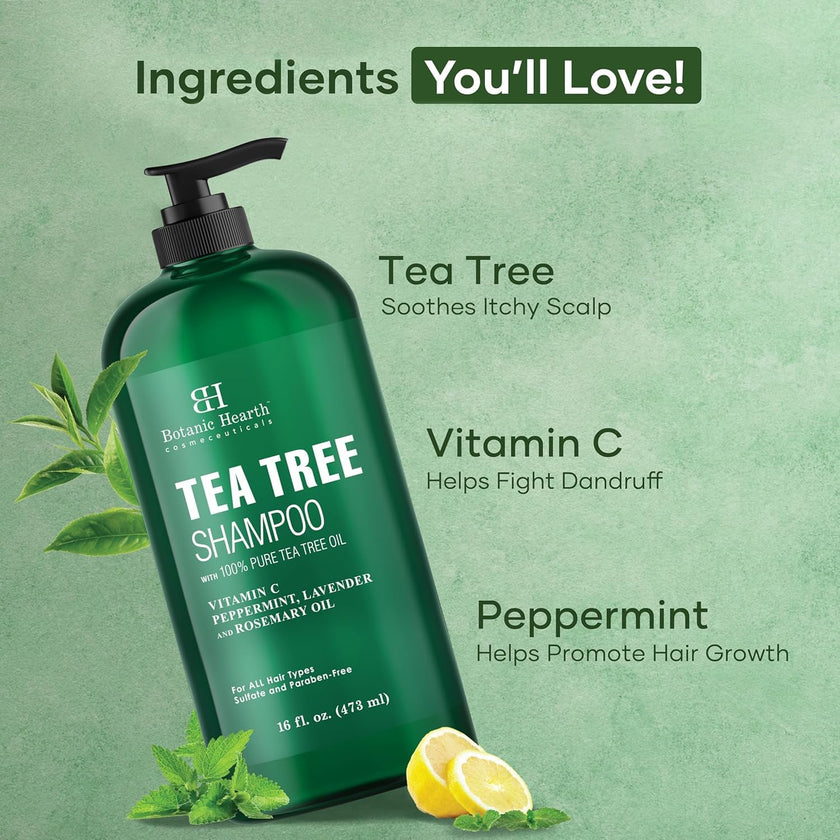 Botanic Hearth Tea Tree Shampoo for Dry & Itchy Scalp, Soothing & Hydrating Cleanser with Natural Tea Tree Oil, Sulfate & Paraben Free, For Men & Women, 16 fl oz 🍁 All In One Marketplace Canada