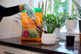 Miracle-Gro Cactus Palm & Succulant Mix 8.8L, 2-Pack | Fast-Draining Soil for Cacti, Palms & Succulents | Feeds 6 Months 🍁 All In One Marketplace Canada