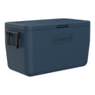 Coleman Chiller 48QT/45L Insulated Portable Cooler with Ice Retention & Heavy Duty Handles, Great for Camping, Tailgating, Parties, Sports, Concerts & More 🍁 All In One Marketplace Canada