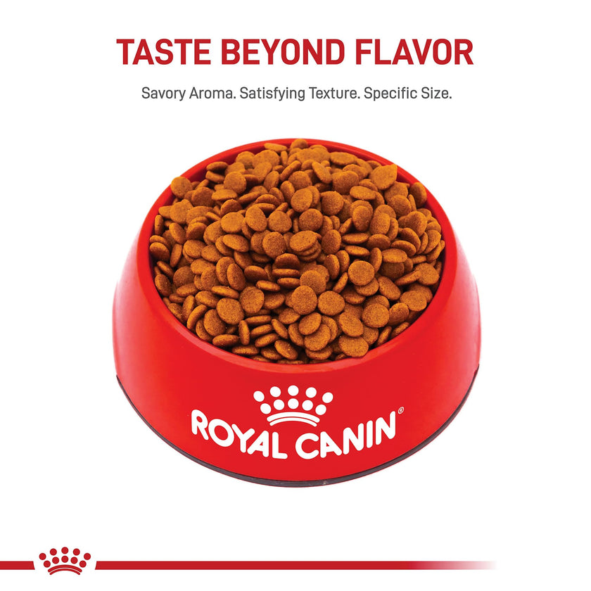 Royal Canin Size Health Nutrition Medium Puppy Dry Dog Food, 4 lb 🍁 All In One Marketplace Canada