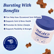 Petlab Co. Joint Care Chews, High Levels of Glucosamine for Dogs, Green Lipped Mussels, Omega 3 and Turmeric, Dog Hip and Joint Supplement to Actively Support Mobility, Packaging May Vary 🍁 All In One Marketplace Canada