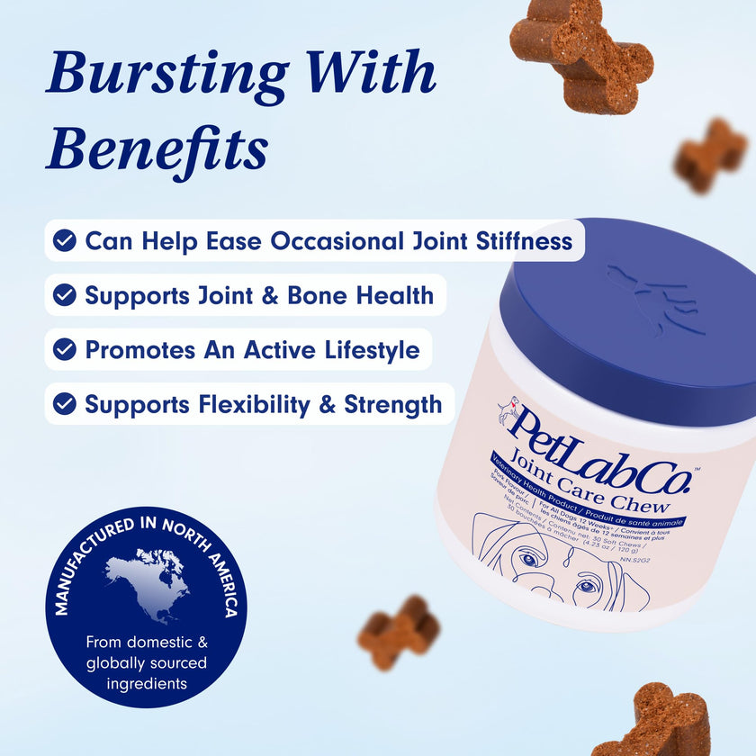 Petlab Co. Joint Care Chews, High Levels of Glucosamine for Dogs, Green Lipped Mussels, Omega 3 and Turmeric, Dog Hip and Joint Supplement to Actively Support Mobility, Packaging May Vary 🍁 All In One Marketplace Canada
