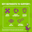 FLINTSTONES Complete Kids Multivitamin Gummies - Multivitamins for Kids, Kids Multivitamin Gummy Helps Maintain Good Health, Free of Artificial Sweeteners, Free of Aspartame, Free of Synthetic FD&C Dyes, 180 Gummies 🍁 All In One Marketplace Canada
