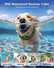SLOPEHILL Dog Training Collar with Remote,4200Ft Electronic Shock Collars,Waterproof E-Collar Featuring Beep,Vibration,Shock,Light and Keypad Lock Mode,fit for Small Medium Large Dogs (Green) 🍁 All In One Marketplace Canada