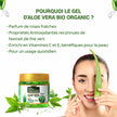 Indus Valley 100% Pure Aloe Vera Gel with Vitamin C & E for Skin & Hair | Non-Sticky Natural Aloe vera Gel - Soothes & Face Moisturizes, Irritated Skin Caused by Sunburn, Rashes (175Ml) 🍁 All In One Marketplace Canada