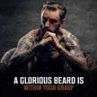 Viking Revolution - Beard Oil - All Natural Variety Sandalwood, Pine & Cedar, Clary Sage - Gifts For Men - Conditioning and Moisturizing - Valentines Day Gift for Him - 3 x 30 ml 🍁 All In One Marketplace Canada