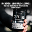 Jacked Factory Creatine Monohydrate Powder 425g - Canadian-Owned Informed Choice Certified Supplement for Increased Muscle Mass*, Improved Strength, Power, & Performance** - 85 Servings, Unflavored 🍁 All In One Marketplace Canada