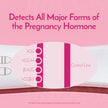 First Response Early Result - Pregnancy Test Kit - Detect Pregnancy 6 Days Sooner Than Your Missed Period - Over 99% Accurate - Analog (4 Count) 🍁 All In One Marketplace Canada