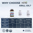 Herba Krill Oil Omega 3 Supplements - 120 Softgels | 1000mg of Antarctic Krill Oil Per Day (2 softgels 500mg each) | Source of Omega 3 Fatty Acids | High Astaxanthin | Premium Grade - 500mg per Soft Gel | Made in Canada 🍁 All In One Marketplace Canada