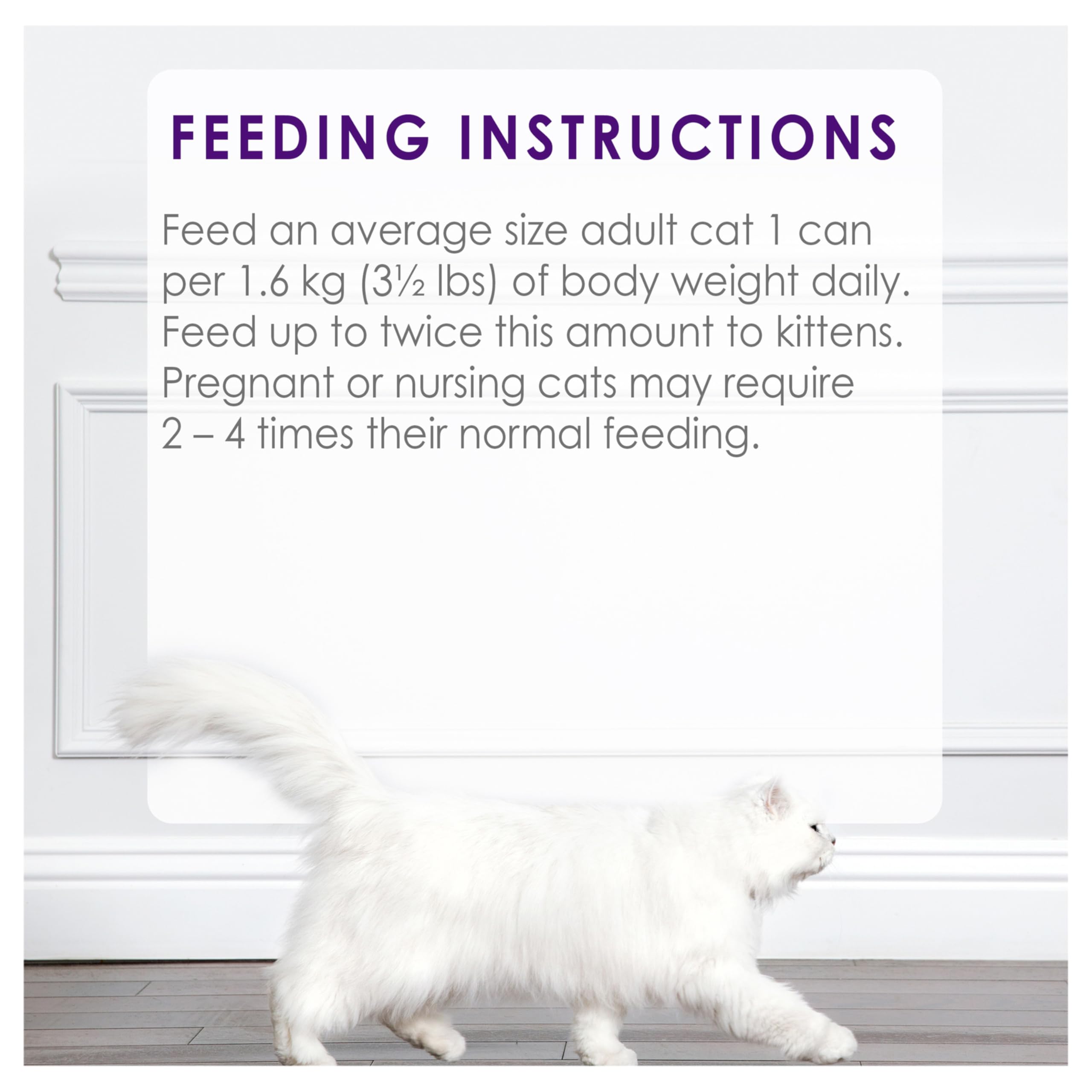 Fancy Feast Chunky Wet Cat Food, Chicken Feast - 85 g Can (24 Pack) 🍁 All In One Marketplace Canada