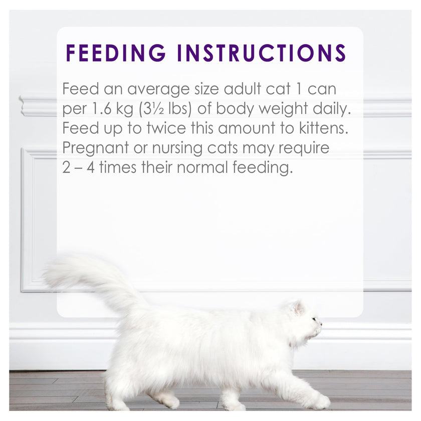 Fancy Feast Chunky Wet Cat Food, Chicken Feast - 85 g Can (24 Pack) 🍁 All In One Marketplace Canada