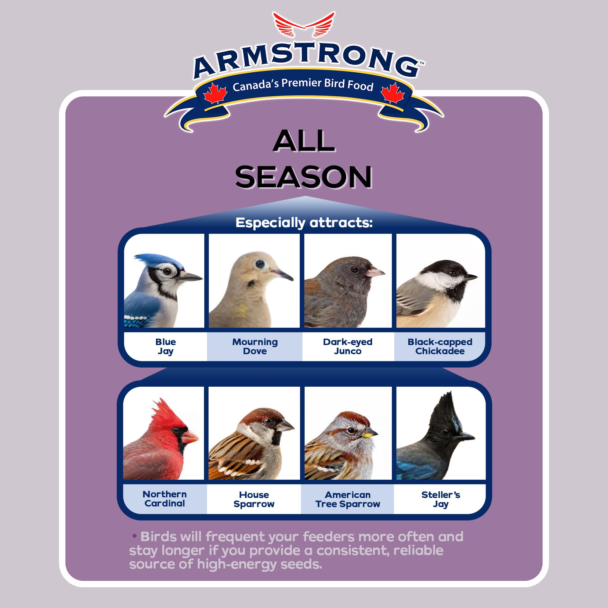 Armstrong All Season Blend, Premium Wild Bird Seed Mix, 4KG (8.8LB) Bag 🍁 All In One Marketplace Canada