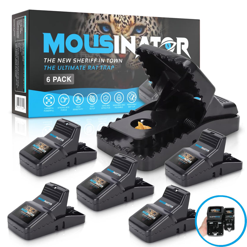 MOUSINATOR Rat Trap | 6-Pack | Large Rat Snap Traps for Indoor and Outdoor Use | Easy to Set | Safe and Reusable Design | Easy to Clean | Effective Powerful Large Mouse Trap that Works Instantly 🍁 All In One Marketplace Canada