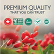 Berberine 1000mg | Healthy Cholesterol, Glucose & Lipid Metabolism & Cardiovascular Health Support | High Potency Berberine Supplement with Bitter Melon & Banaba Extract | Made in Canada | 90 Ct 🍁 All In One Marketplace Canada