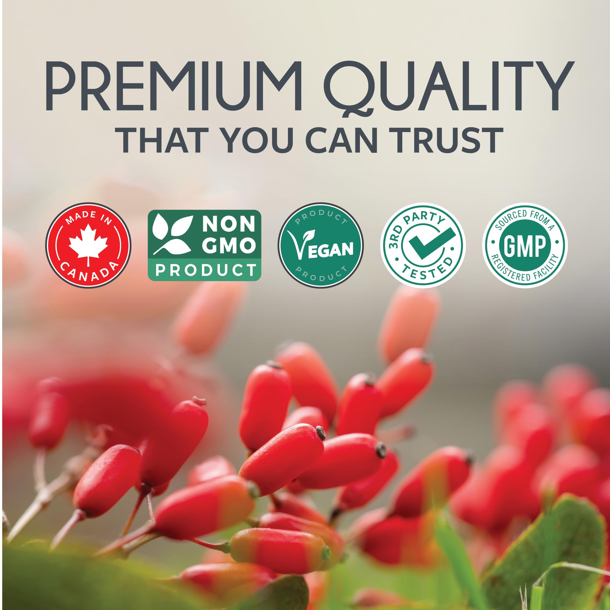 Berberine 1000mg | Healthy Cholesterol, Glucose & Lipid Metabolism & Cardiovascular Health Support | High Potency Berberine Supplement with Bitter Melon & Banaba Extract | Made in Canada | 90 Ct 🍁 All In One Marketplace Canada
