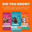 IAMS Proactive Health Indoor Weight & Hairball Care Adult Dry Cat Food – Chicken & Turkey – 3.18KG (7LB) Bag 🍁 All In One Marketplace Canada